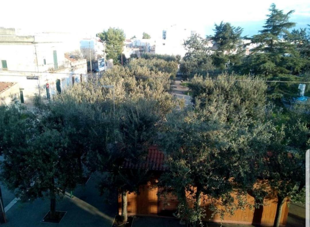 "La Casa Di Mariagrazia" Rooms Con Cucina Condivisa E Terrazza Sammichele Di Bari Luaran gambar